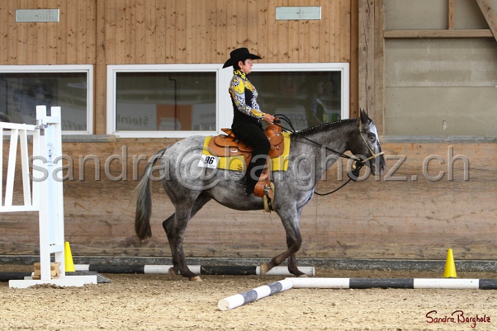 26-ApHC GT_239.jpg